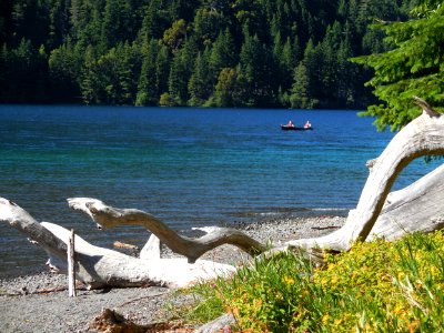 Lake crescent canoe driftwood summer visitors 2015 cbubar