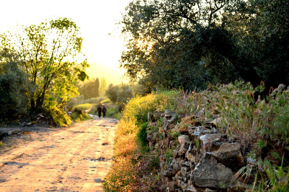 A wall built of stones