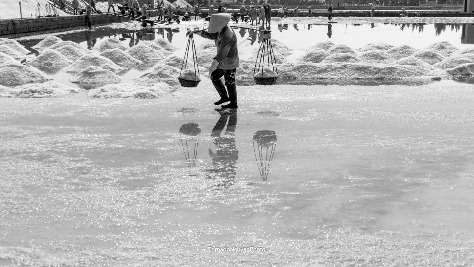 SALT FIELD