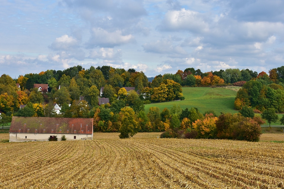 Golden october fall foliage leaves