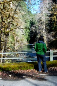 Sol Duc visitor bridge c bubar march 05 2015