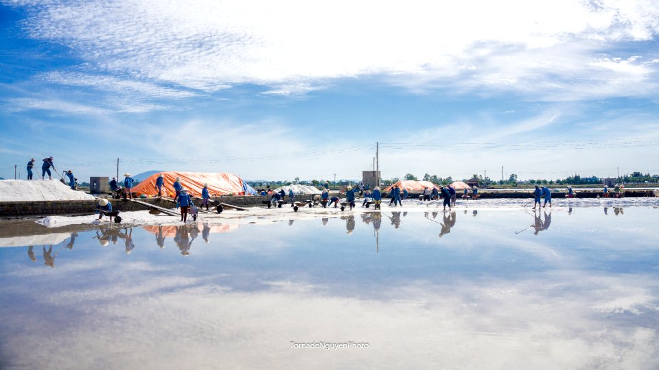 SALT FIELD