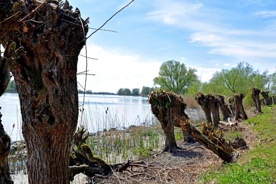 2015 04 19 0935 bewerkt-1