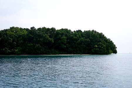 DSC02414