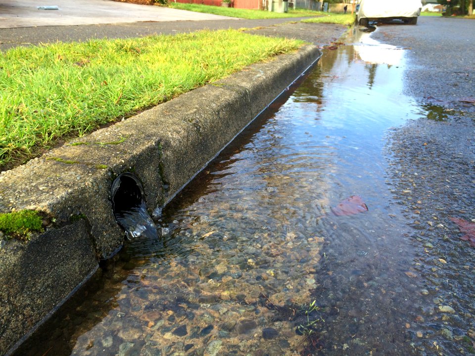 Downspout.water.flowing.into.street ByStellaCollier2015