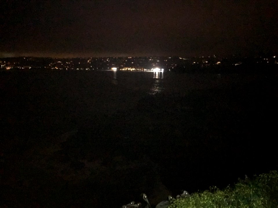 IMG 0552