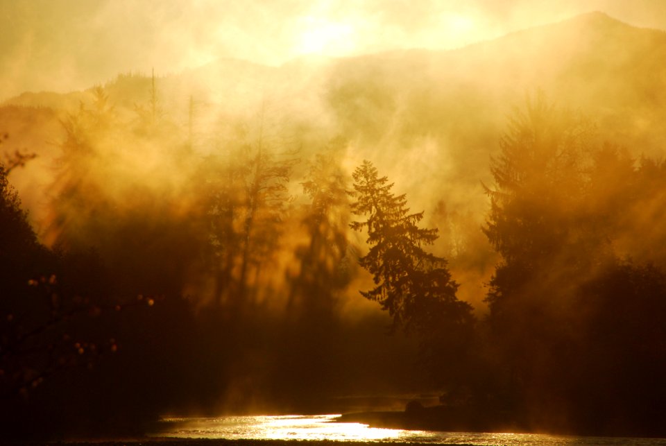 Hoh sunrise mist fog scenic j preston