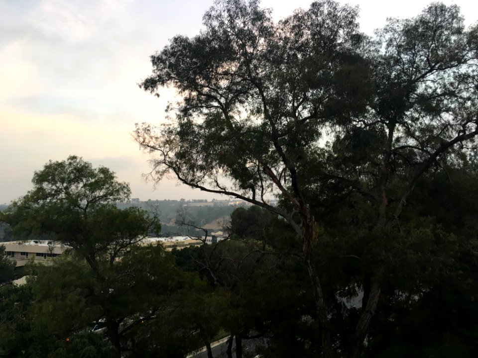 IMG 0543