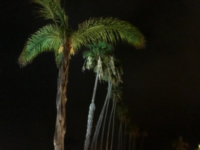 IMG 0562