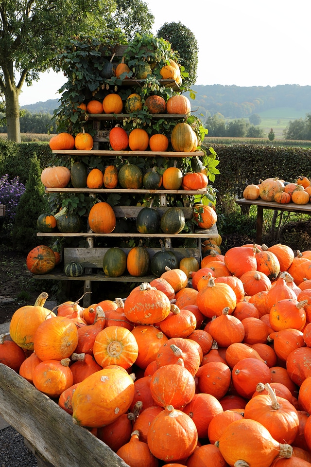 Gourd pyramid autumn decoration