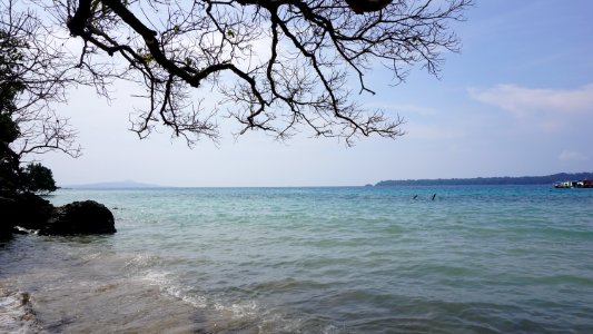 DSC02460