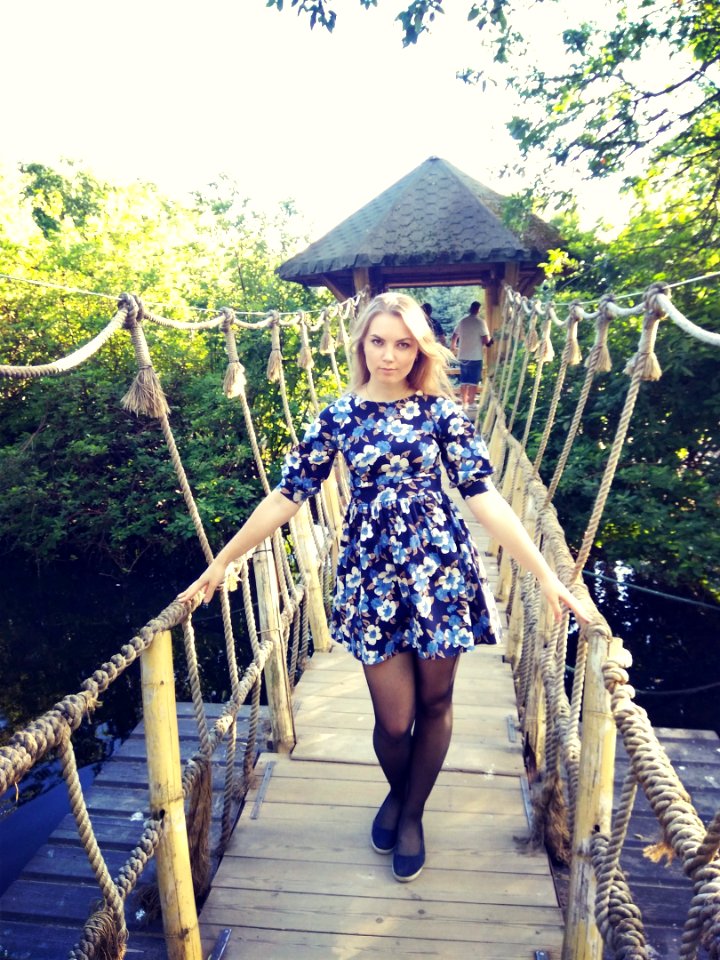 bridge
