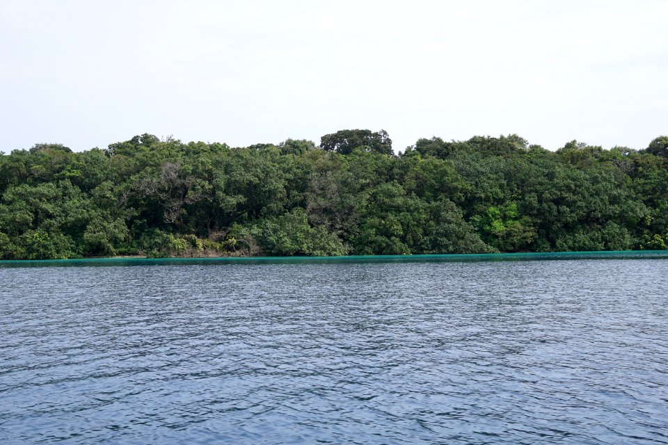 DSC02409