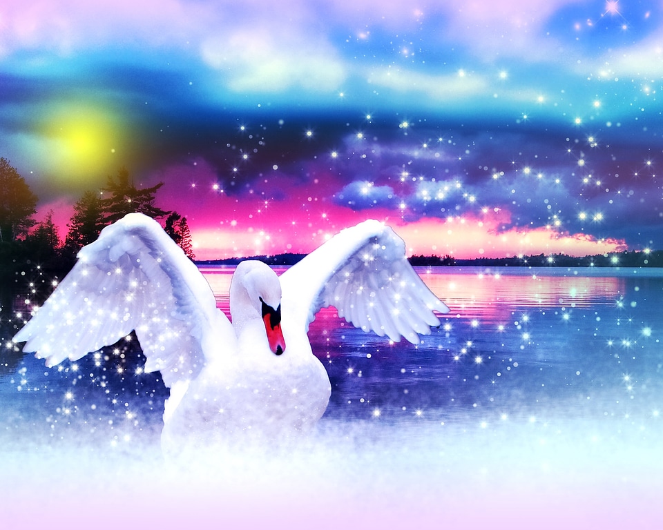 Elegant white wing