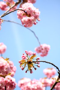 IMG 4922