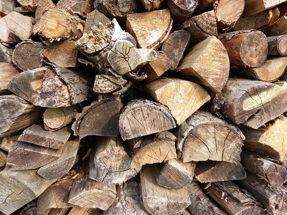 Pile of wood wood firewood