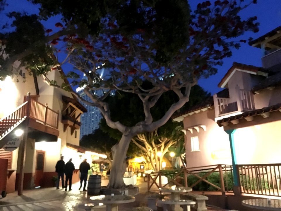 IMG 0570