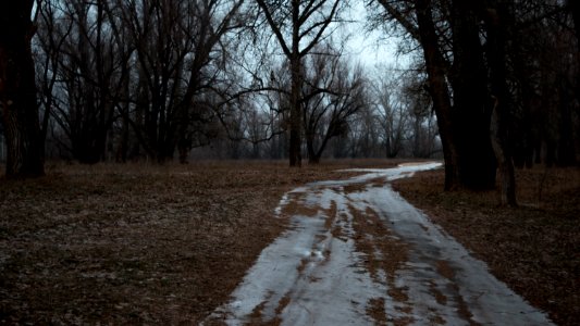 Globaly warm winter