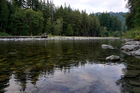 reflection calm river quinault graves creek campground d archuleta 2015