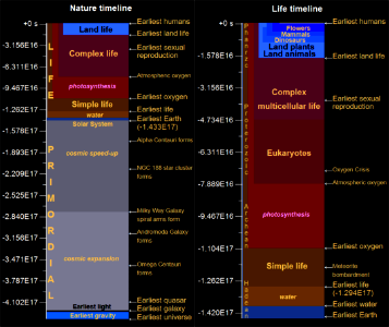 Nature and Life Timelines