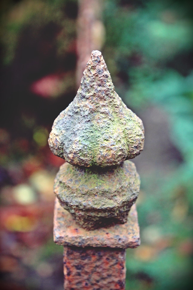 Old rusted garden fence