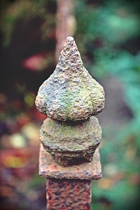 Old rusted garden fence photo