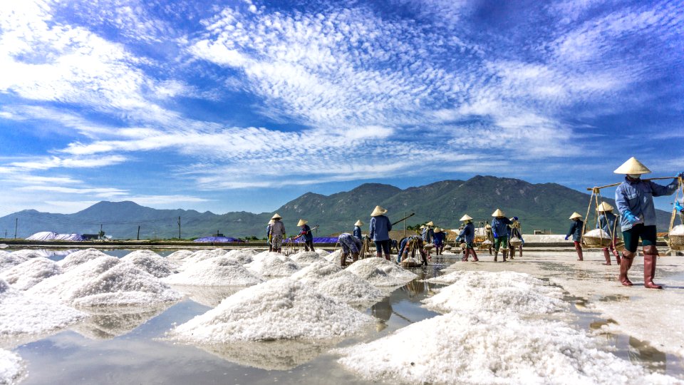 SALT FIELD