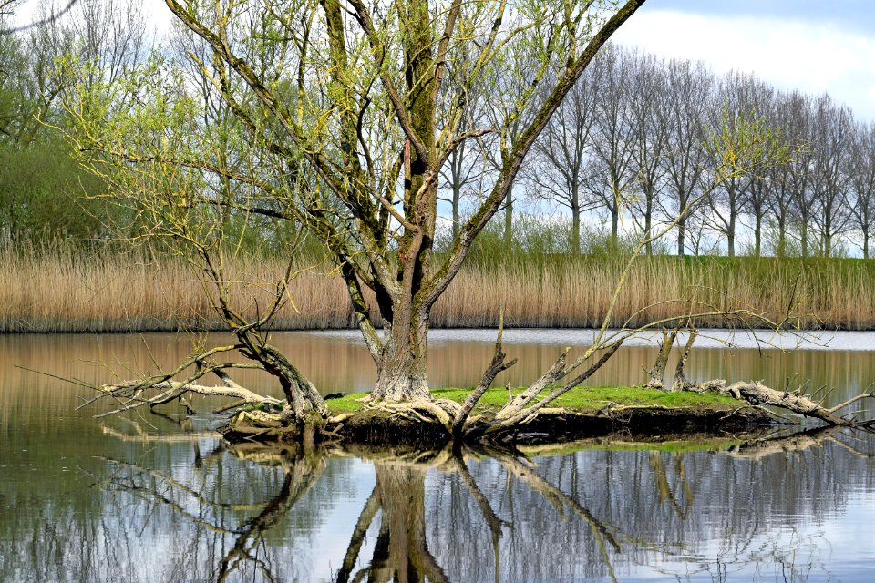 2015 04 19 0869 bewerkt-1