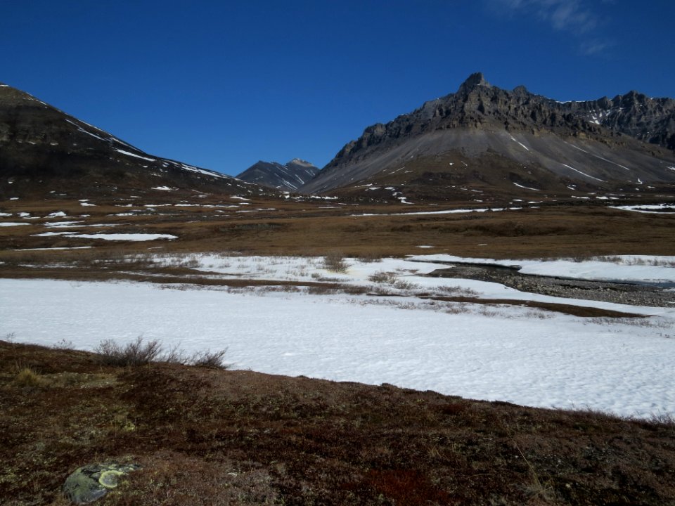 IMG 2506
