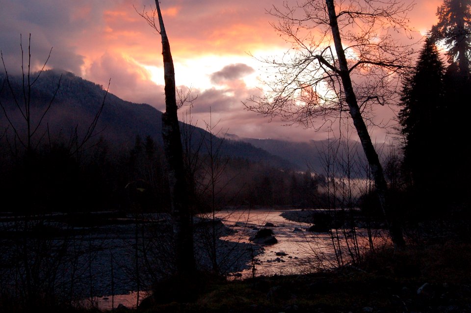 Hoh river sunset trees NPS Photo
