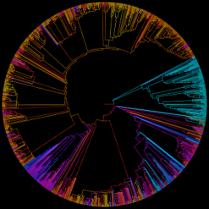 HUGE-B 500-NCBI PGT