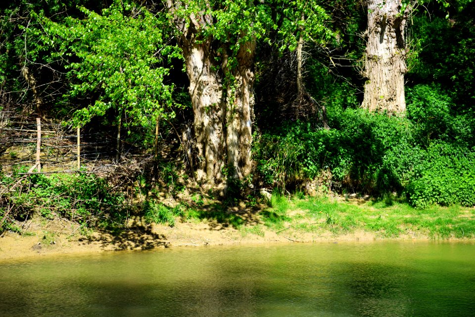 Petit coin de nature