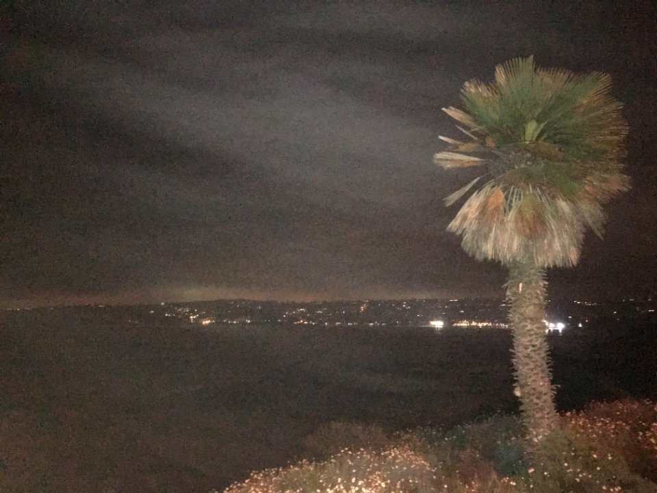 IMG 0550