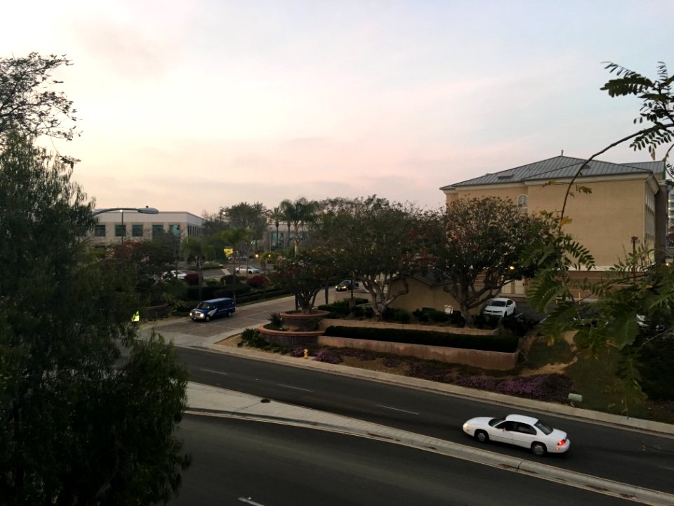 IMG 0545