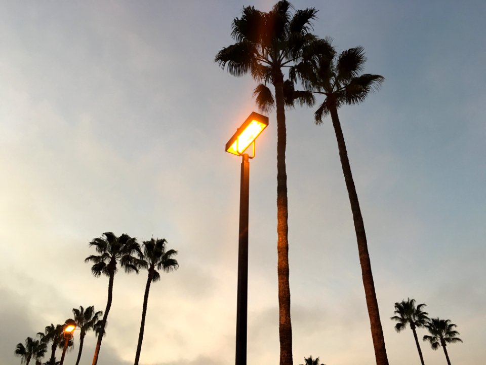 IMG 0544