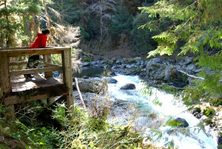 Sol Duc river overlook people visitor salmon cascades c bubar march 05 2015