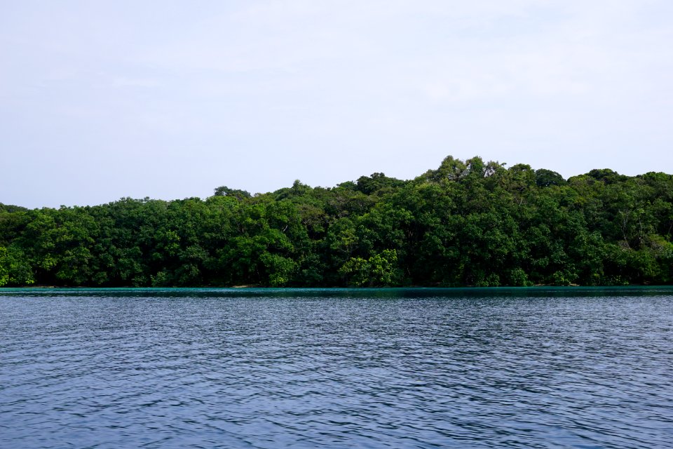 DSC02412