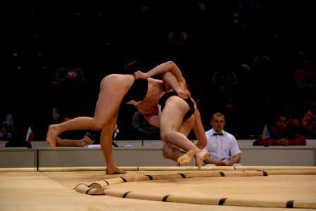 DSC 8003