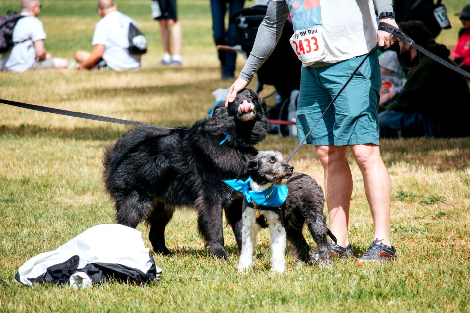 IschelleMartin-furry5k-76