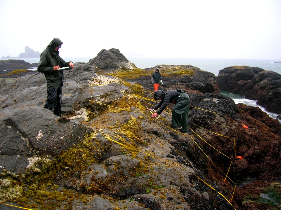 rangers scientists work coast measure