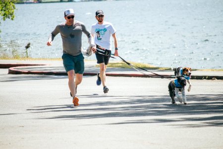 IschelleMartin-furry5k-231