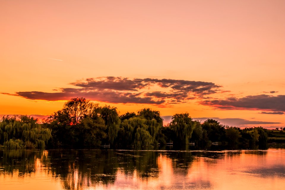 Shoreline at Sunset