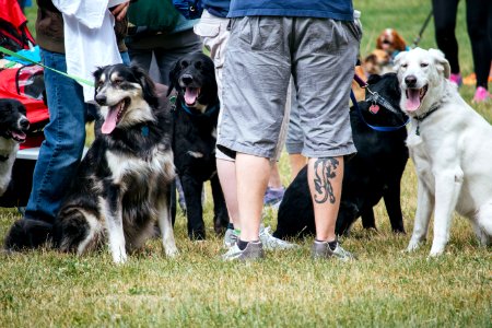 IschelleMartin-furry5k-81