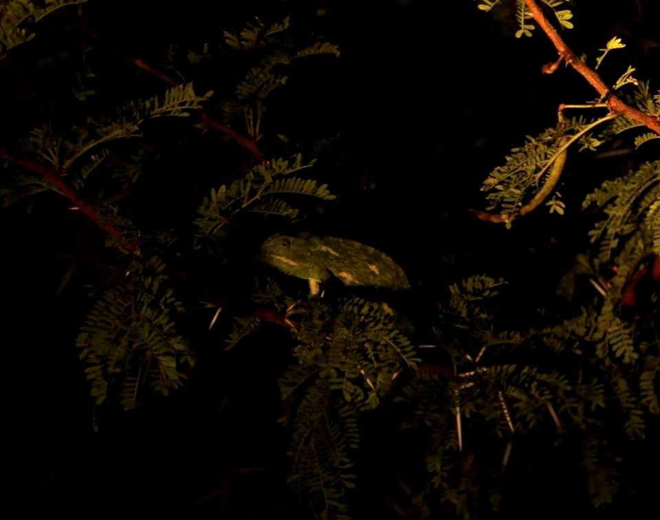 Can you see me
