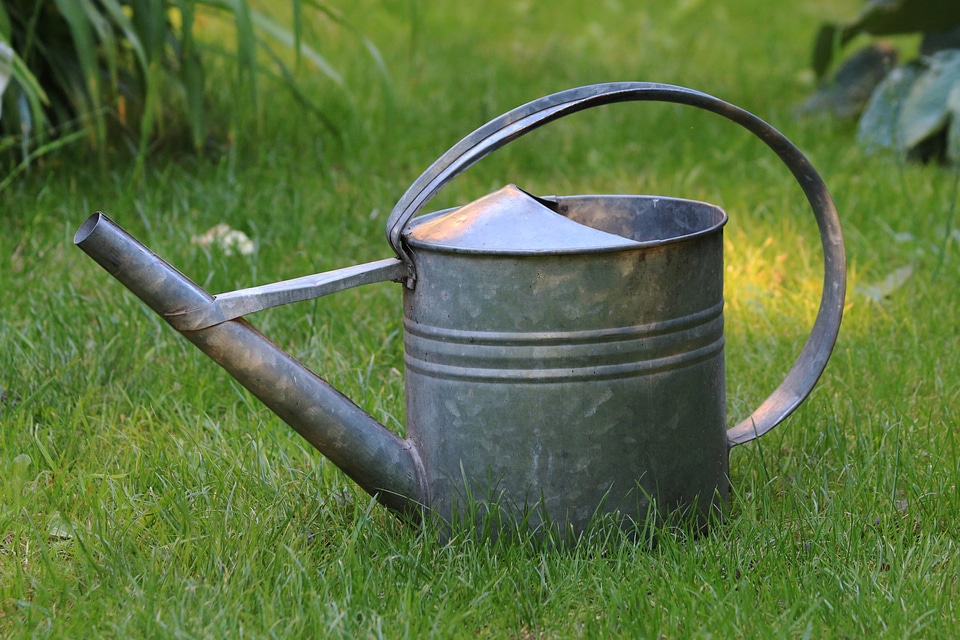 Watering can garden grass