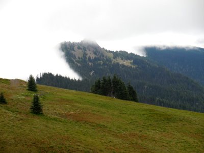 Hurricane Ridge fog cbubar