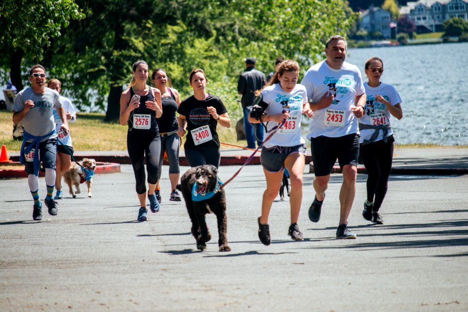 IschelleMartin-furry5k-287