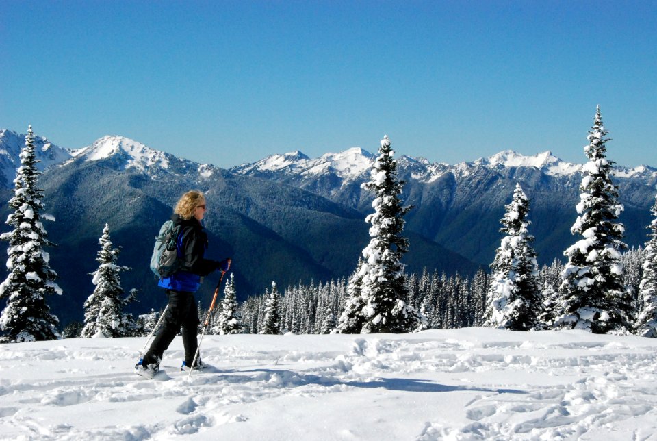 crosscountry skiing Hurricane ridge snow trees
