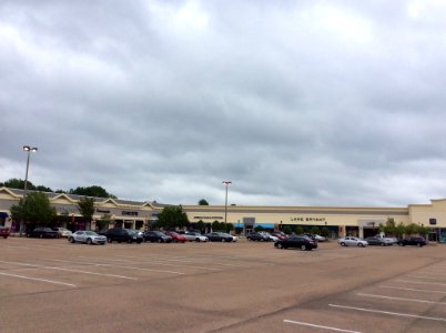 Dogwood Festival Marketplace, Flowood, MS