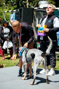 IschelleMartin-furry5k-377